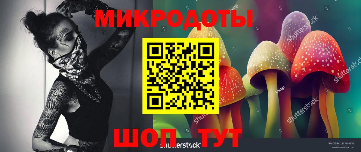 Галлюциногенные грибы прущие грибы  Псилоцибиновые грибы Cubensis  Вход с VPN  Боровичи 