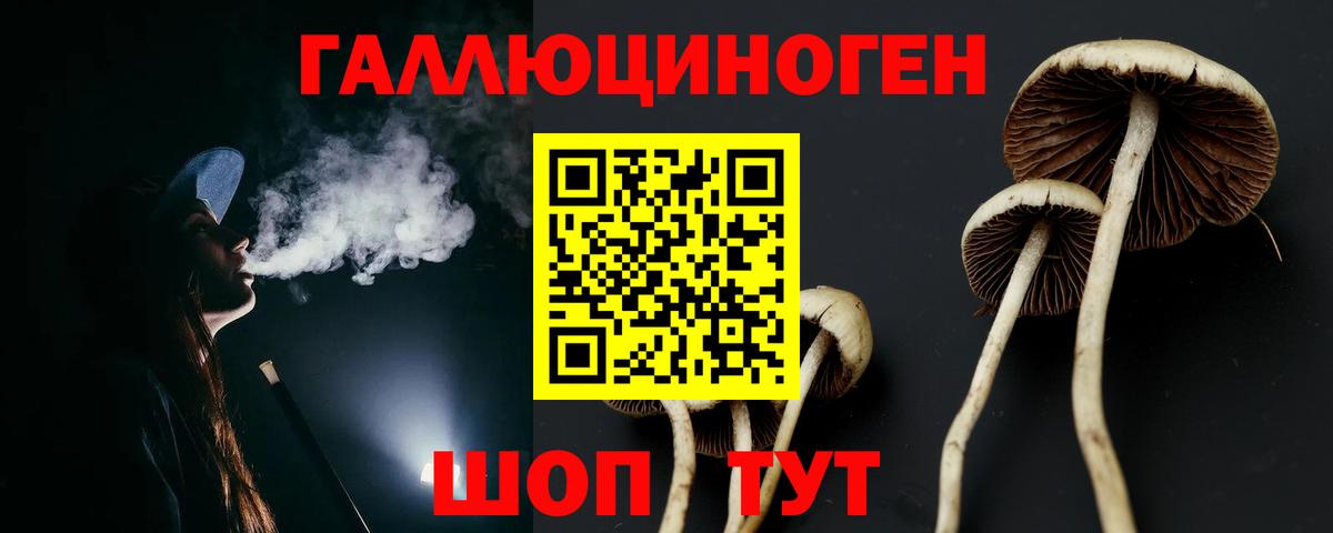 Галлюциногенные грибы Psilocybe Боровичи